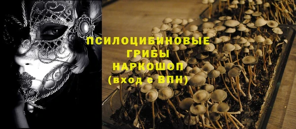 ECSTASY Алексеевка