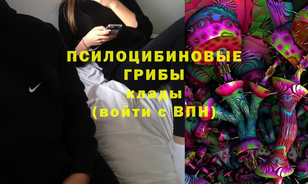 а пвп мука Алзамай