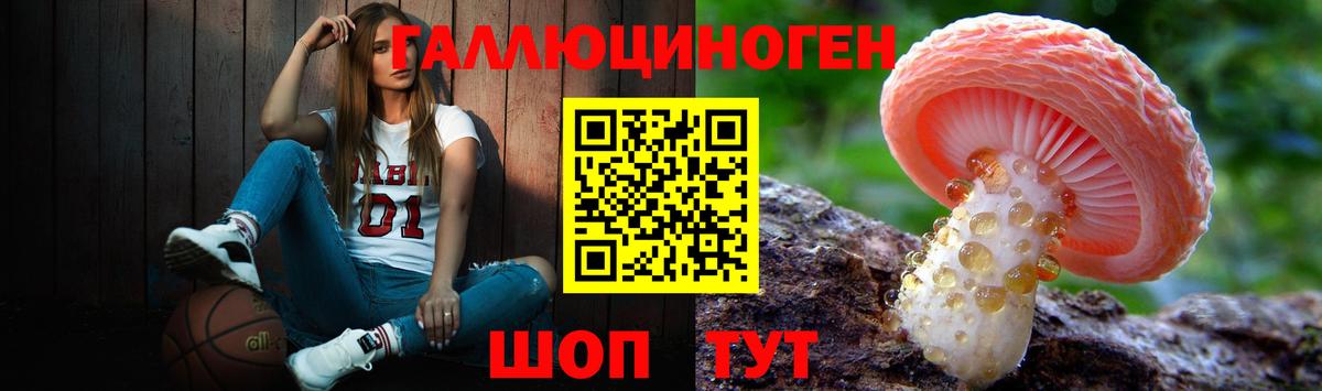Галлюциногенные грибы Psilocybe  Псилоцибиновые грибы мухоморы  Домодедово  Вход с VPN 